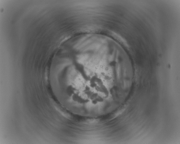 X0000075830065200610061832