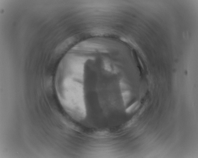 X0000075830066200610061832