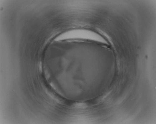 X0000075830067200610061832