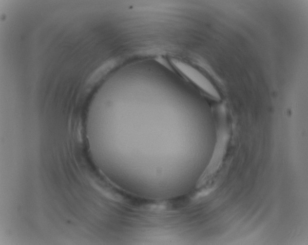 X0000075830068200610061832