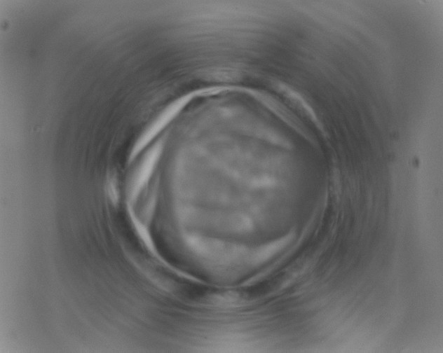 X0000075830069200610061832