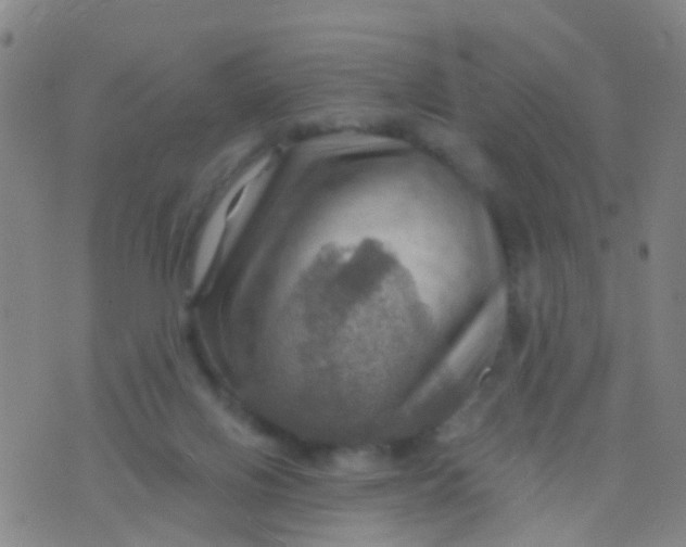 X0000075830070200610061832