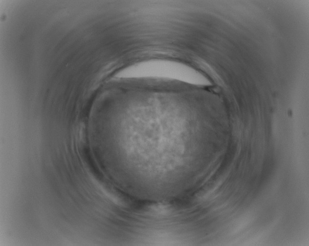 X0000075830071200610061832