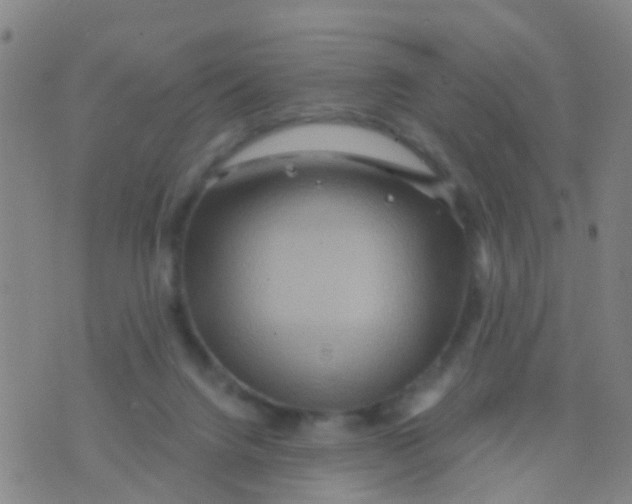 X0000075830072200610061832