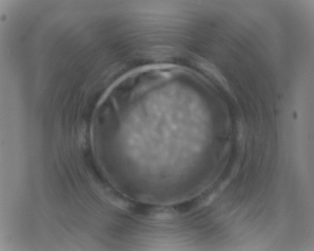 X0000075830073200610061832