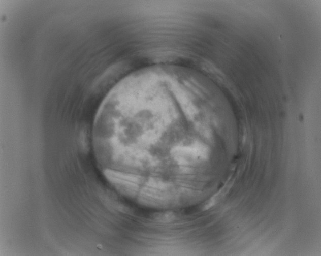 X0000075830074200610061832