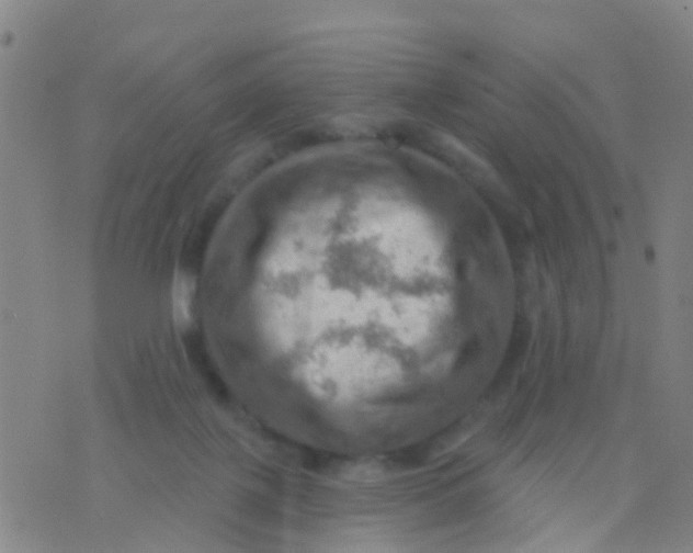 X0000075830075200610061833