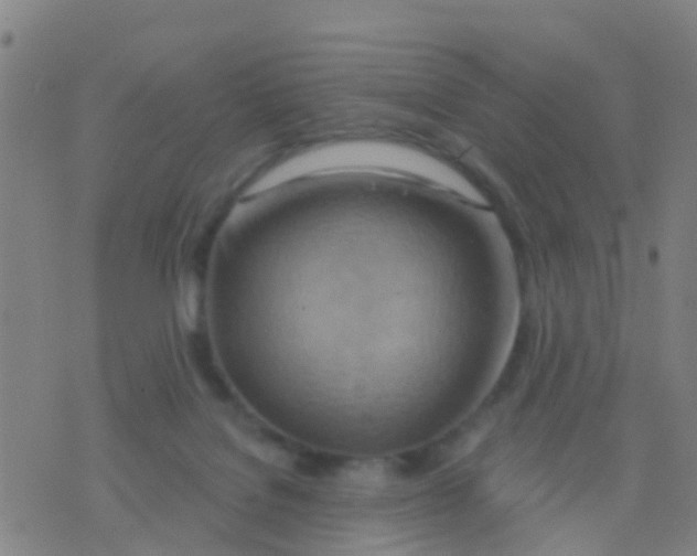 X0000075830076200610061833