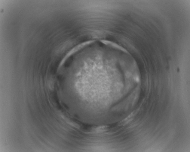 X0000075830078200610061833