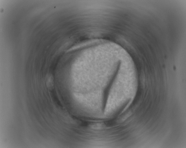 X0000075830079200610061833