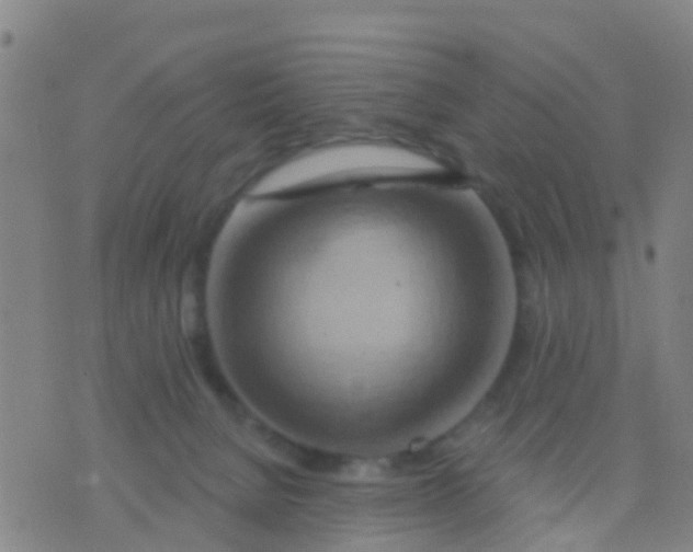 X0000075830080200610061833