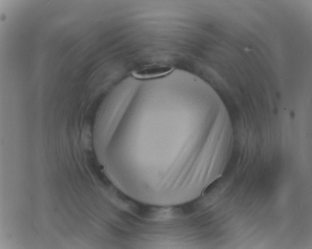 X0000075830083200610061833