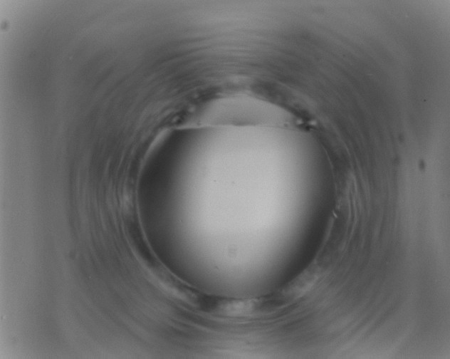 X0000075830084200610061833