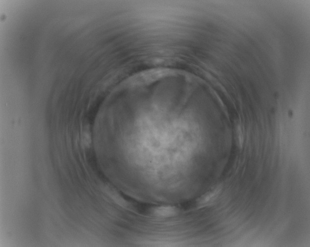 X0000075830085200610061833