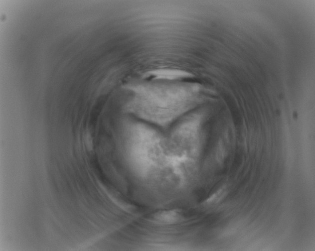 X0000075830086200610061833