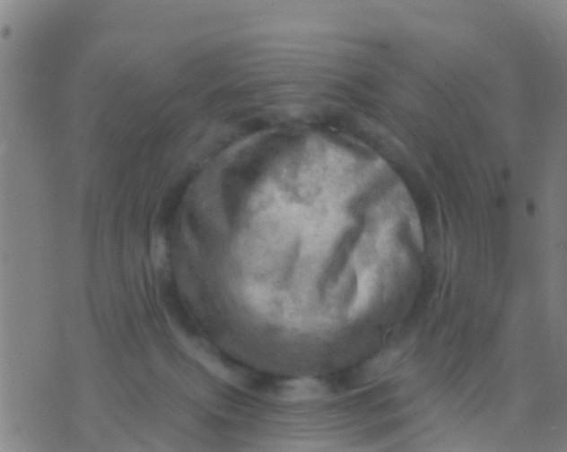 X0000075830087200610061833