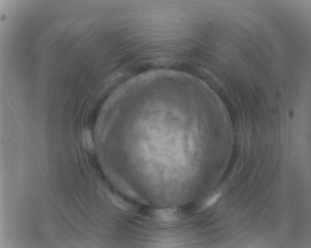 X0000075830089200610061833