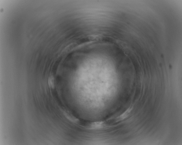 X0000075830090200610061833