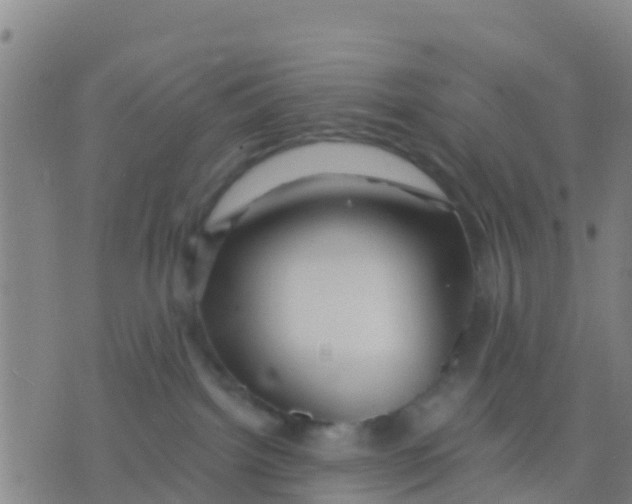 X0000075830092200610061833