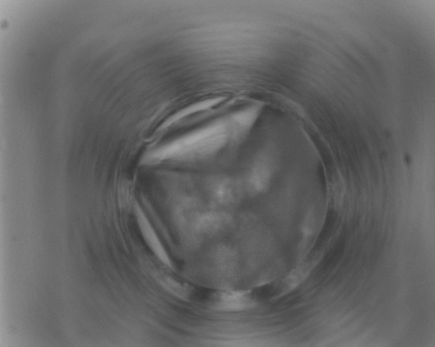 X0000075830093200610061833