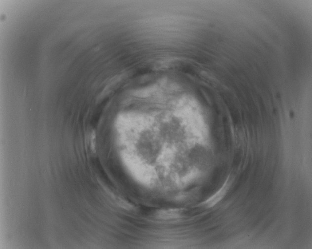 X0000075830094200610061833