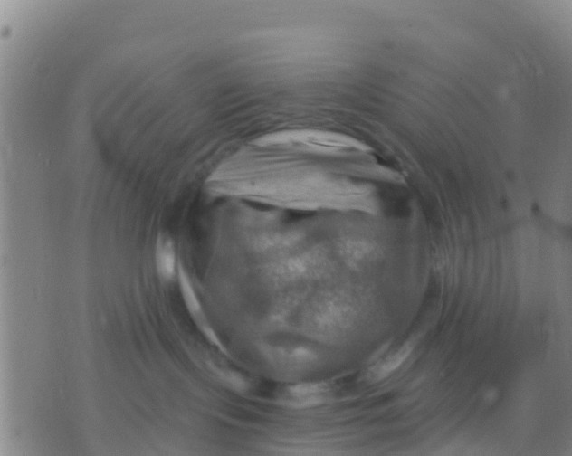 X0000075830095200610061833