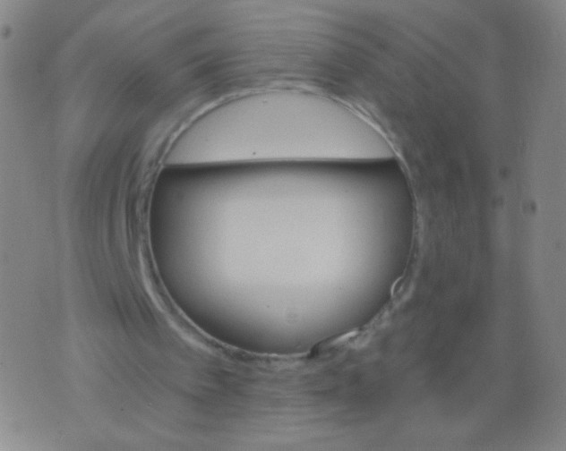 X0000075830097200610061832