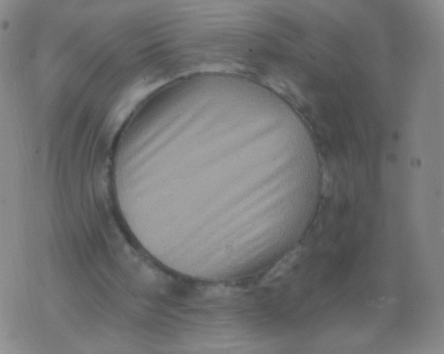 X0000075830098200610061832