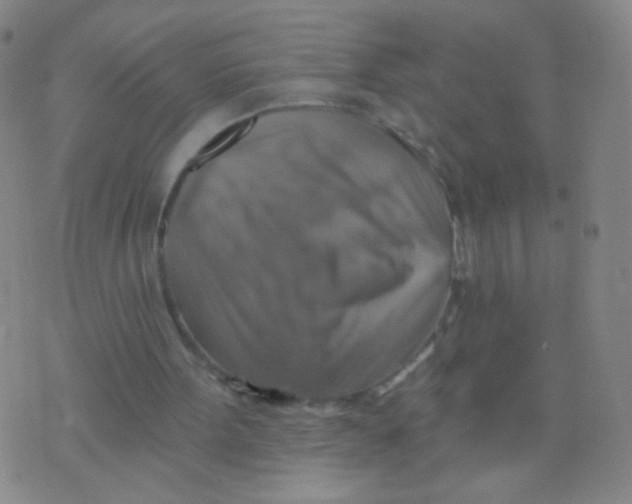 X0000075830099200610061832