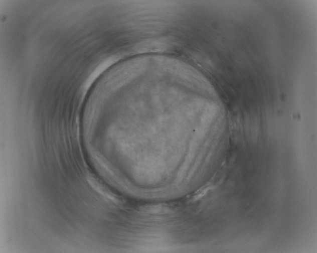 X0000075830100200610061832