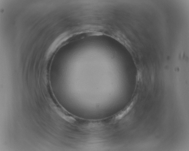 X0000075830101200610061832