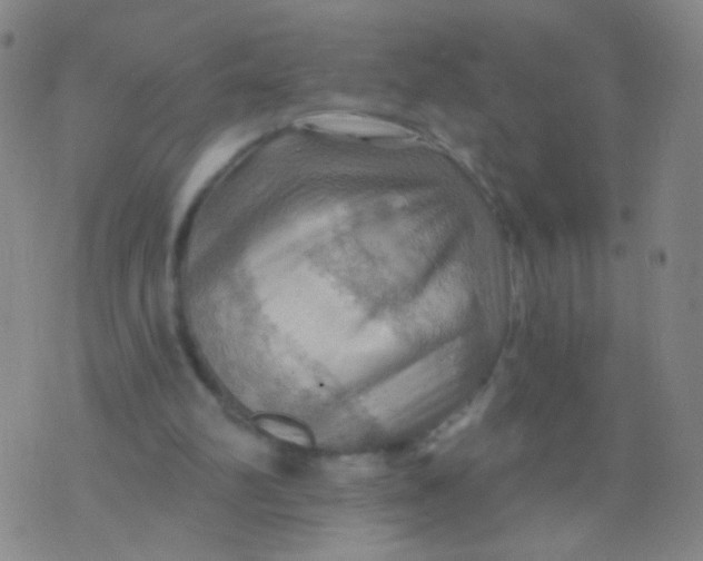 X0000075830102200610061832