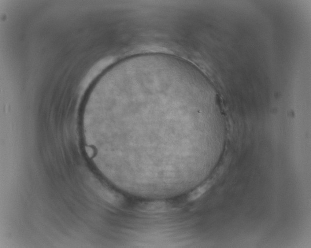 X0000075830104200610061832