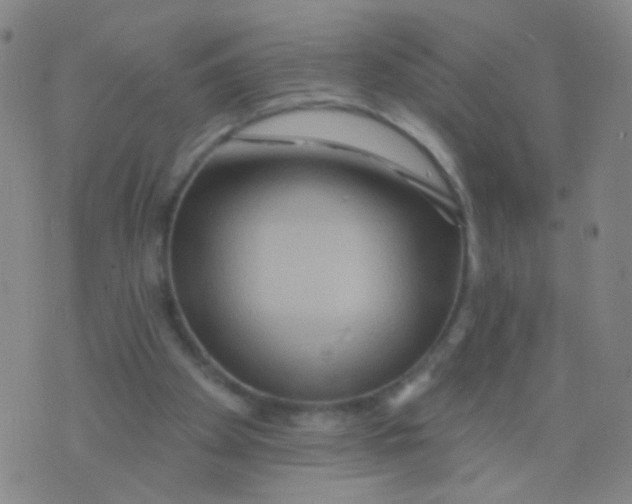 X0000075830105200610061832