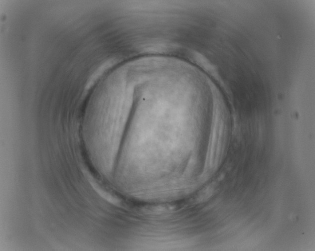 X0000075830106200610061832