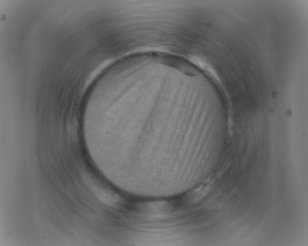 X0000075830108200610061832