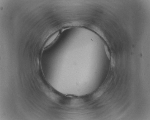 X0000075830109200610061832