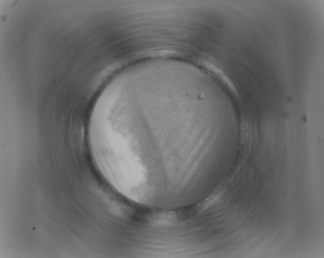 X0000075830110200610061832