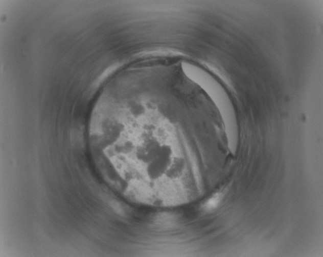 X0000075830111200610061832