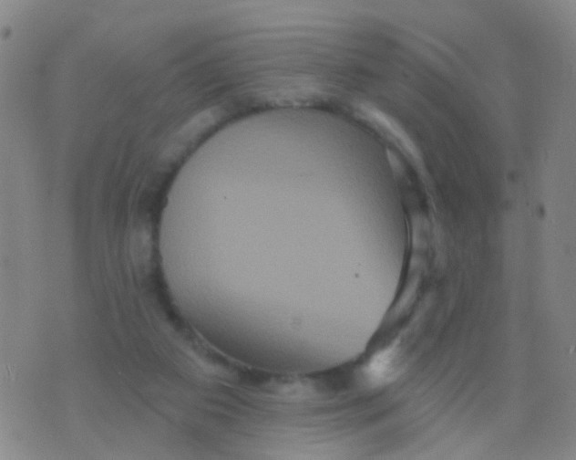 X0000075830113200610061832