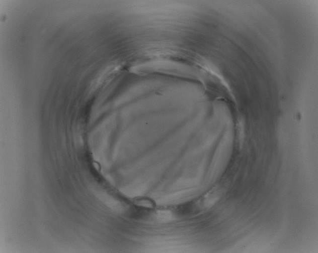 X0000075830114200610061832