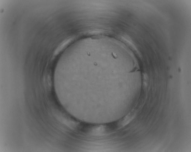 X0000075830116200610061832