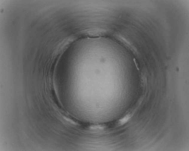 X0000075830117200610061832