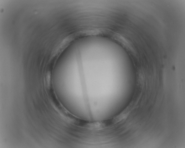 X0000075830118200610061832