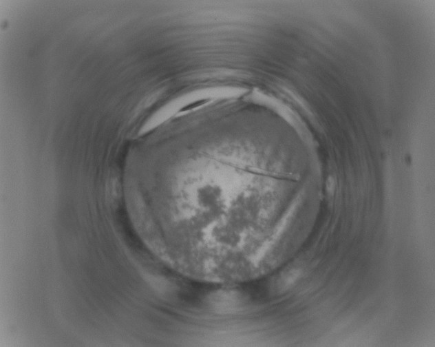 X0000075830119200610061832