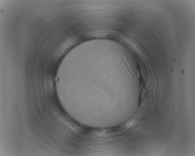 X0000075830120200610061832