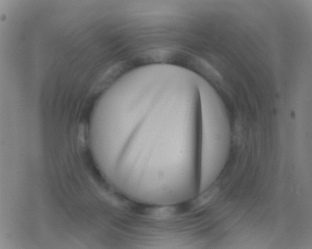 X0000075830122200610061832