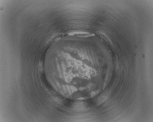 X0000075830123200610061832