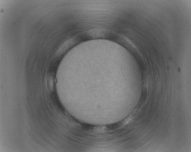 X0000075830124200610061832