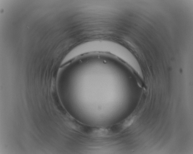 X0000075830125200610061832